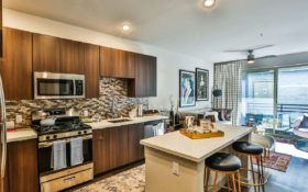 elysian-hughes-apt2