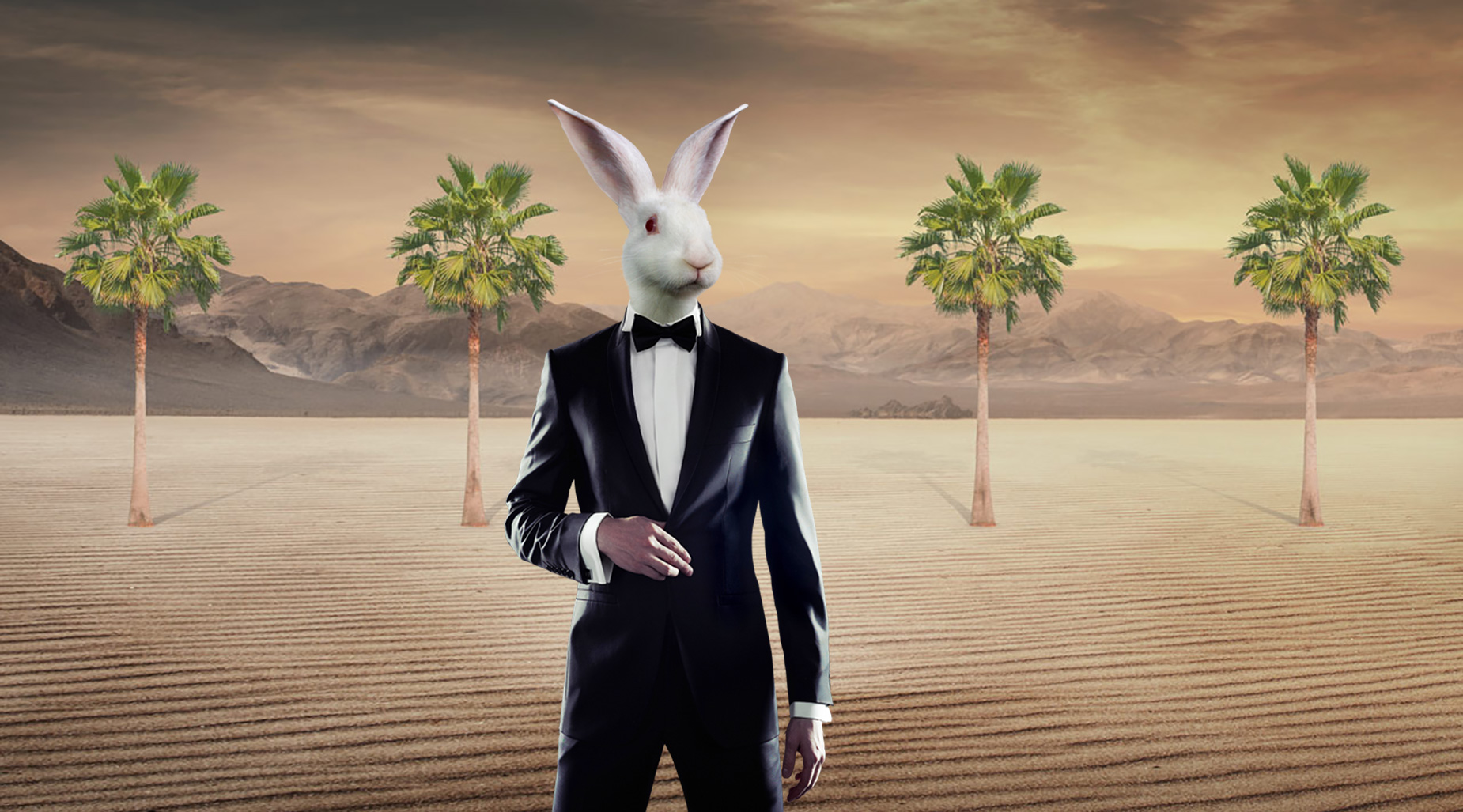 Elysian at the Palms Pre-Leasing Summer 2020